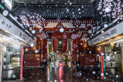 帰ってきた冬将軍: 浅草寺編