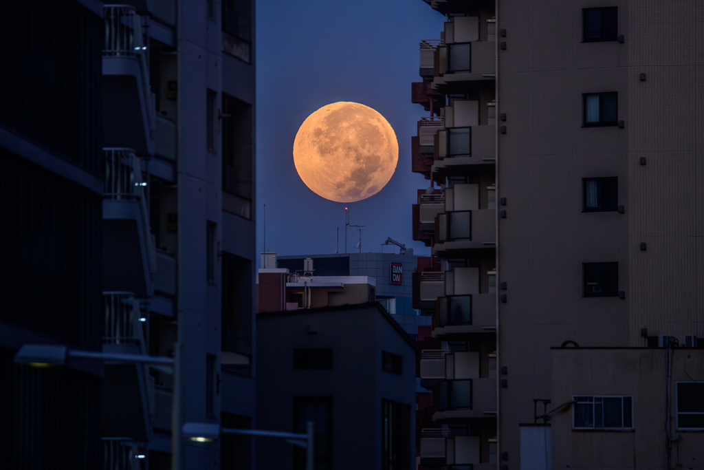 沈む月に別れを惜しんで