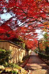後亀山天皇 嵯峨小倉陵