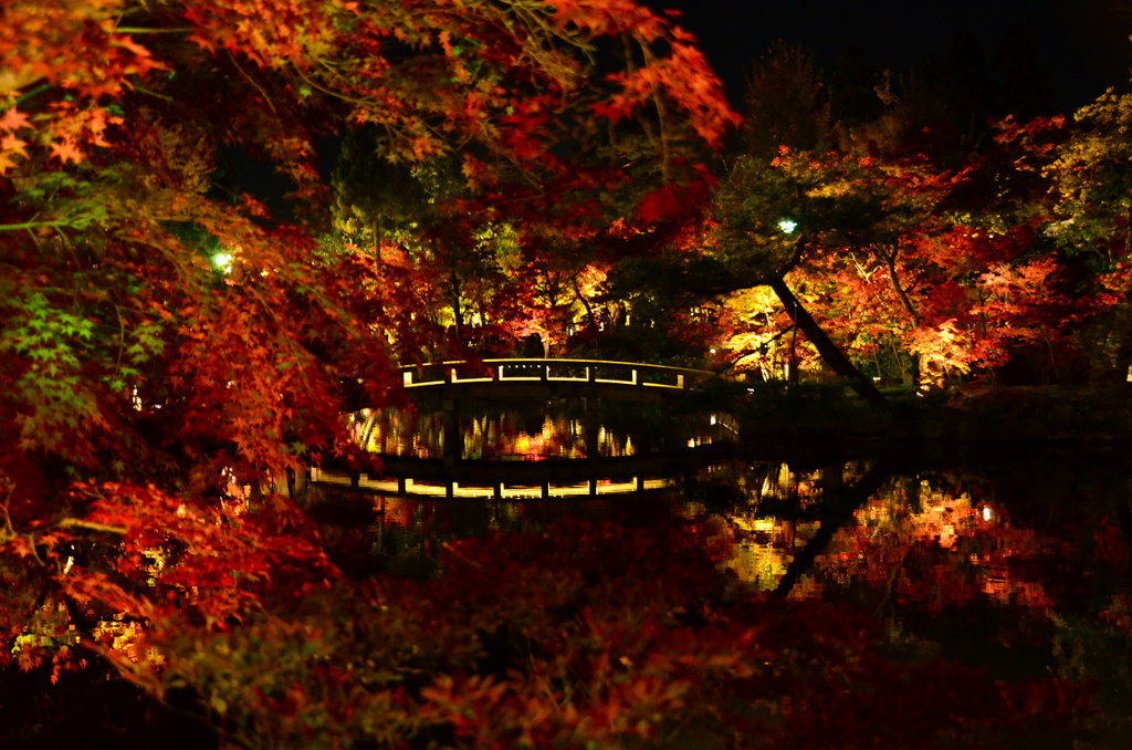 永観堂の夜