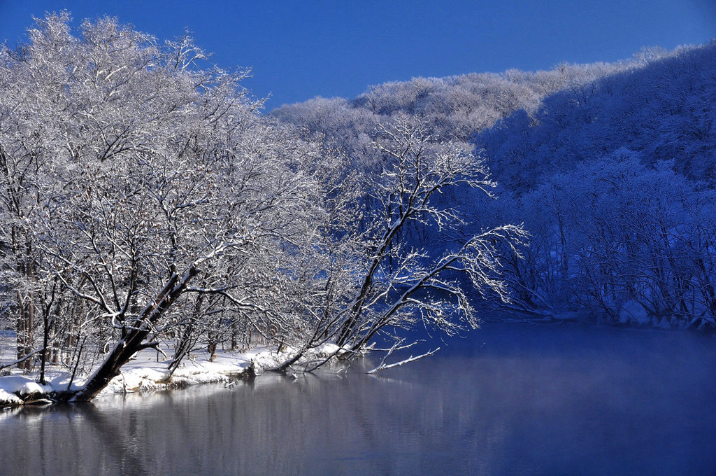 網走の霧氷