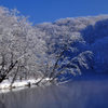 霧氷・樹氷