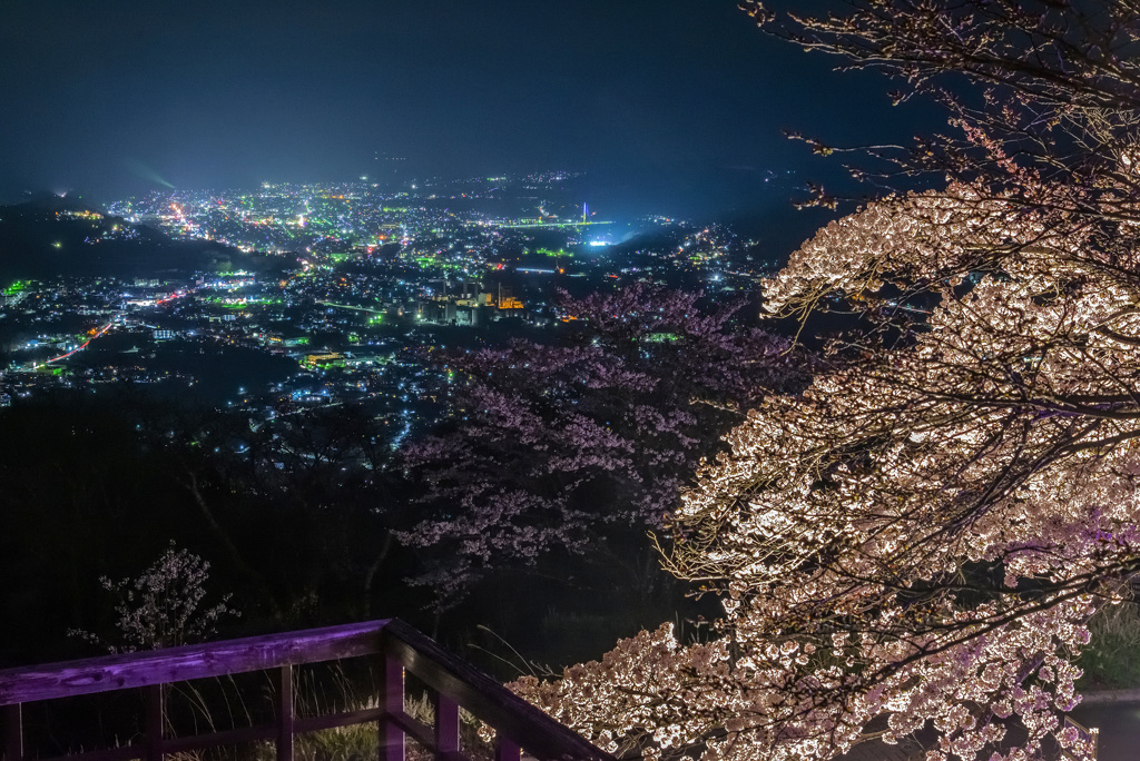 秩父夜景と美の山夜桜ライトアップ