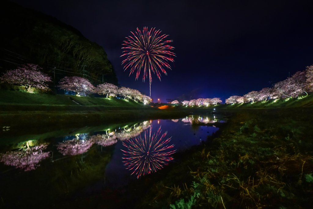 南伊豆町夜桜花火(嘘)