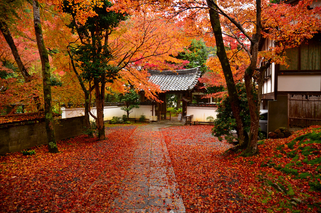 雨の吟松寺