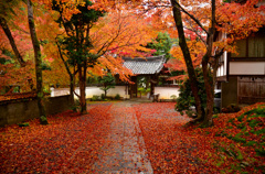 雨の吟松寺