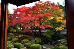 泉涌寺 御座所庭園