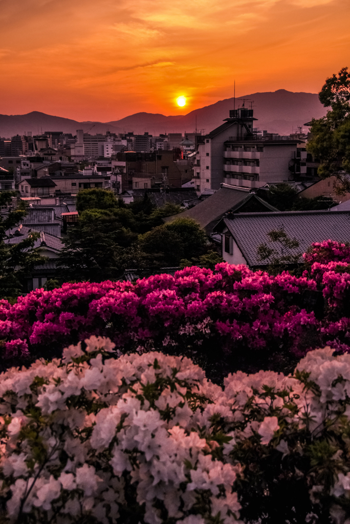 十年前の高台寺夕景