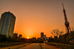 芝公園の夕日