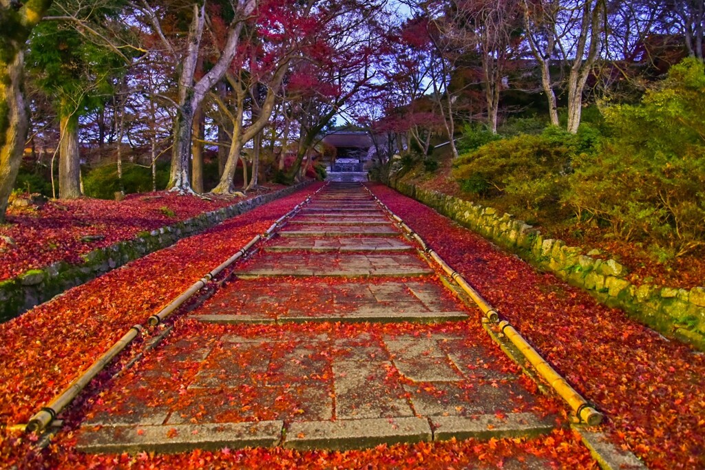 毘沙門堂の散紅葉