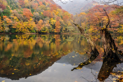 思い出の紅葉: 十年前の十二湖