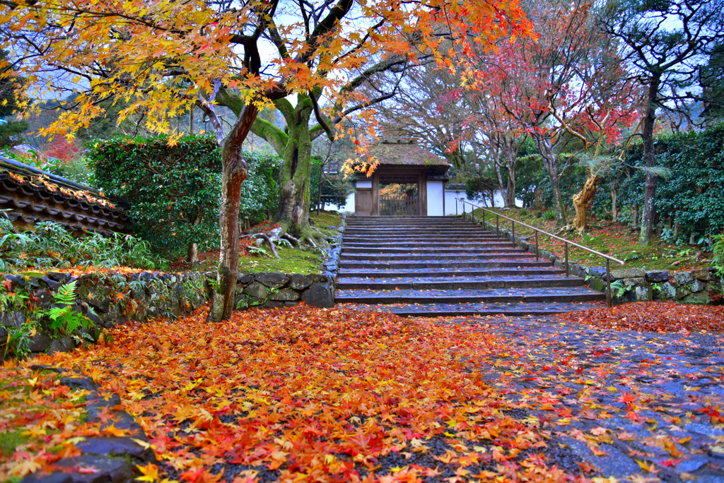 安楽寺 名残紅葉