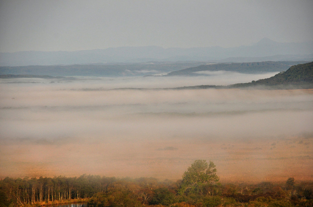 朝霧の釧路湿原