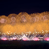 全国花火競技大会 大曲の花火2