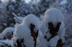 2014_02_09_9_5