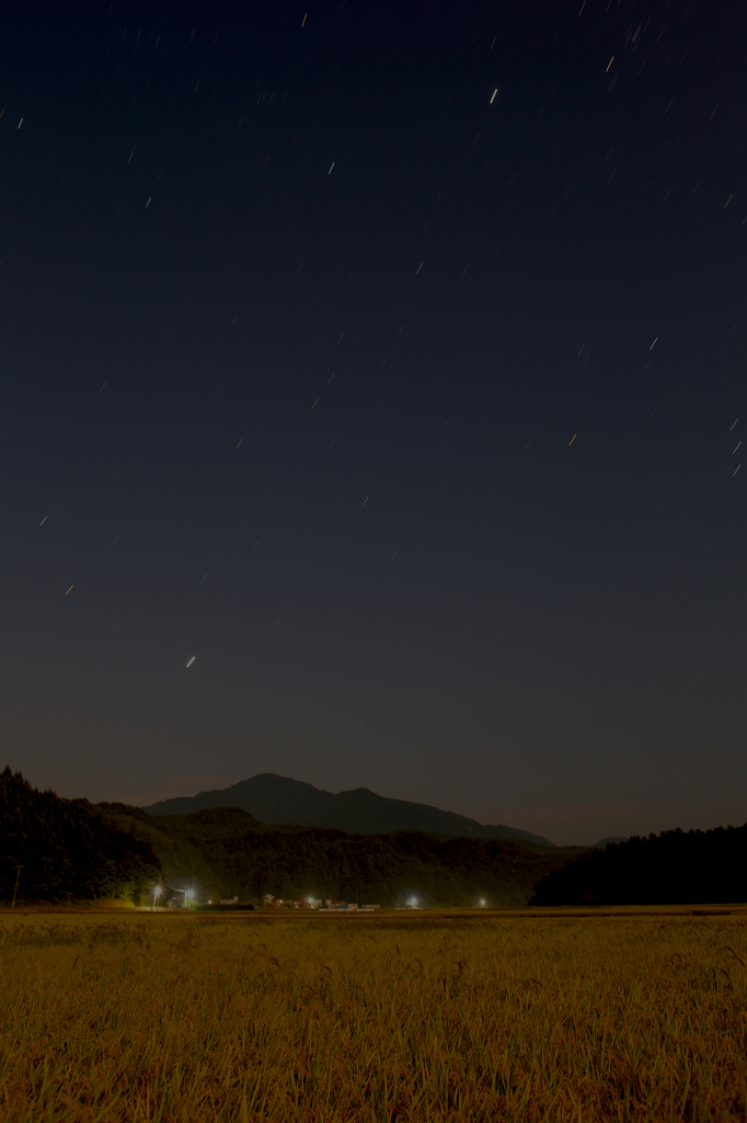 稲と米山