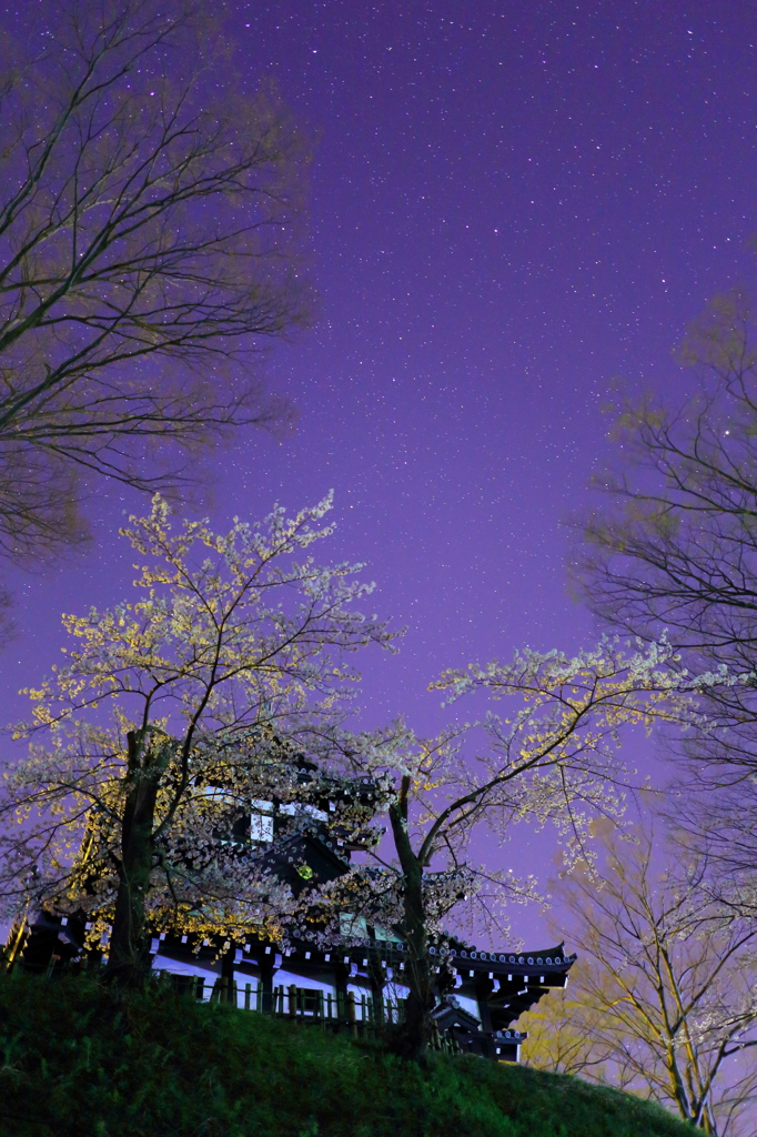 高田城と桜と星