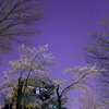 高田城と桜と星