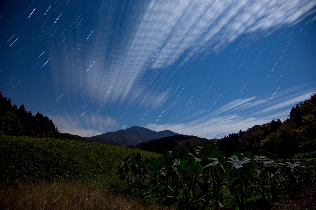 米山