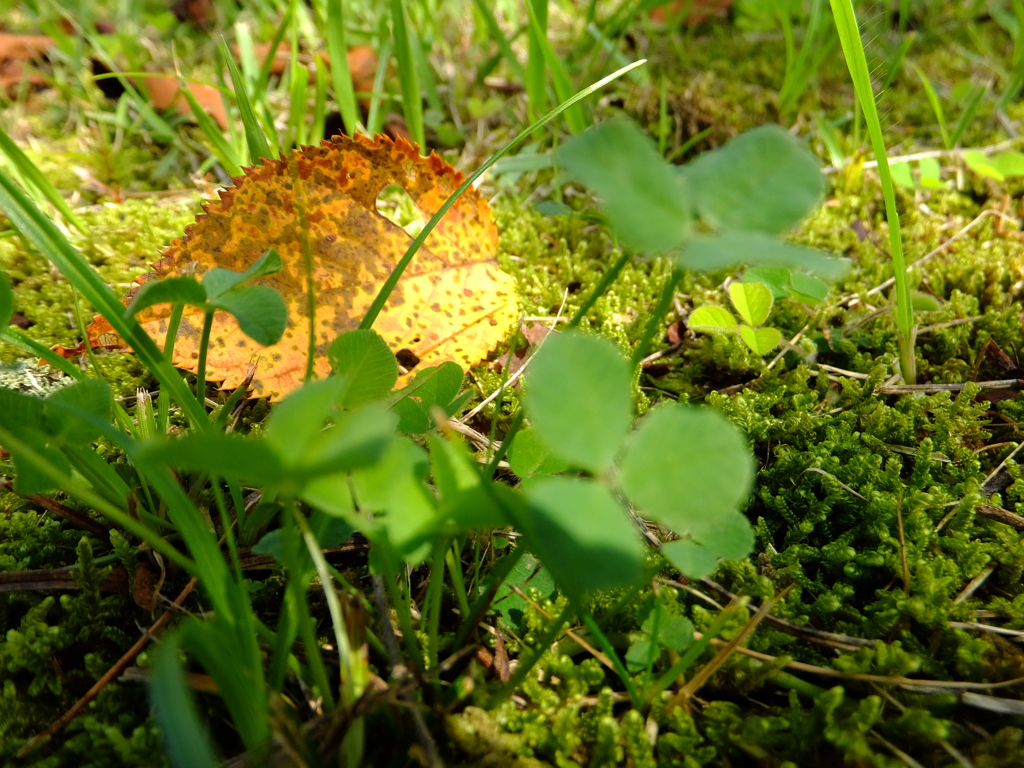 2013_08_25_9_404