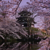 2014高田城