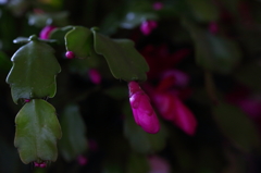 2013_12_25_9_50