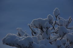 2014_02_09_9_12
