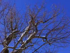 S0668240