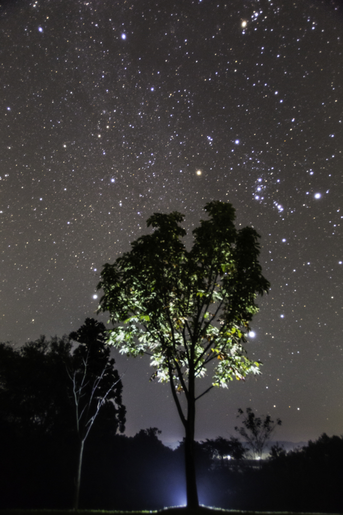 満天の星