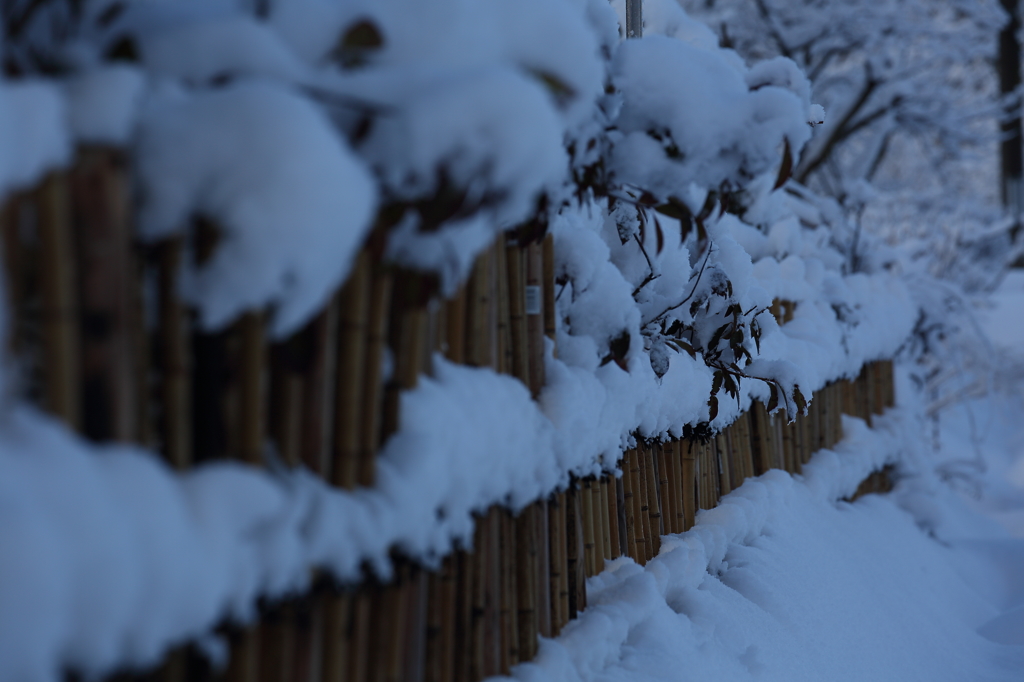 雪囲いさんお仕事中