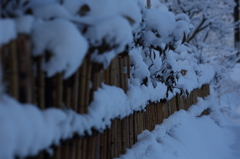 雪囲いさんお仕事中