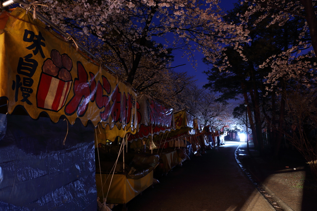 一人っきりの観桜会