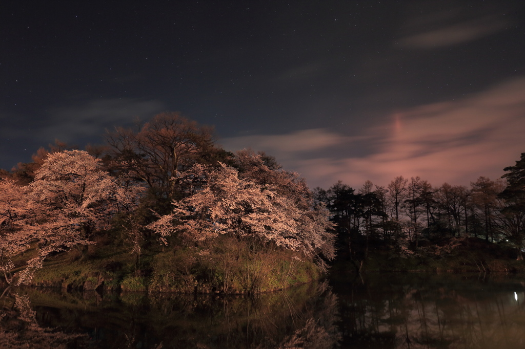 2013_04_13高田公園3