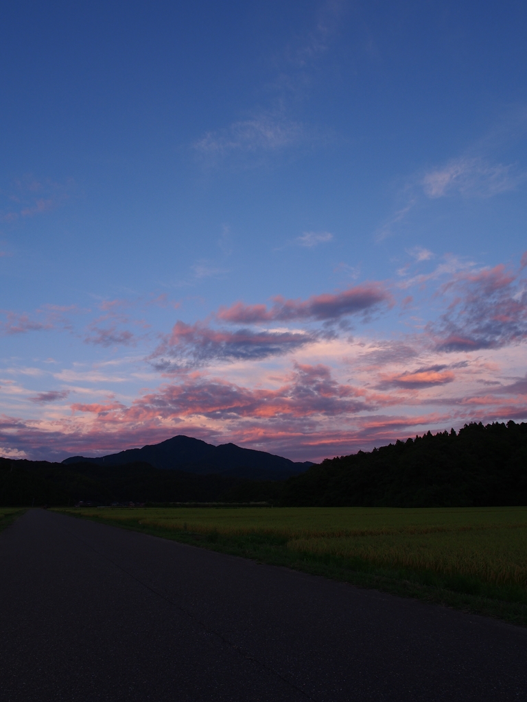 米山