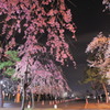 2013_04_13高田公園