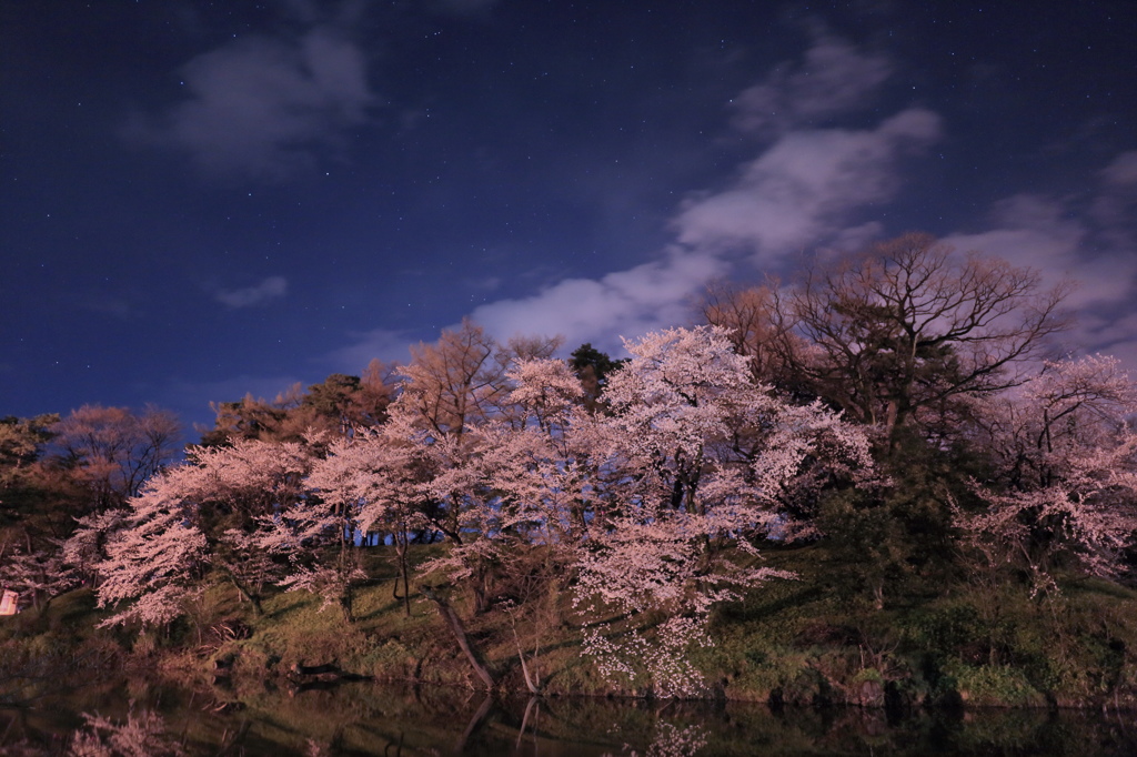 2013_04_13高田公園2