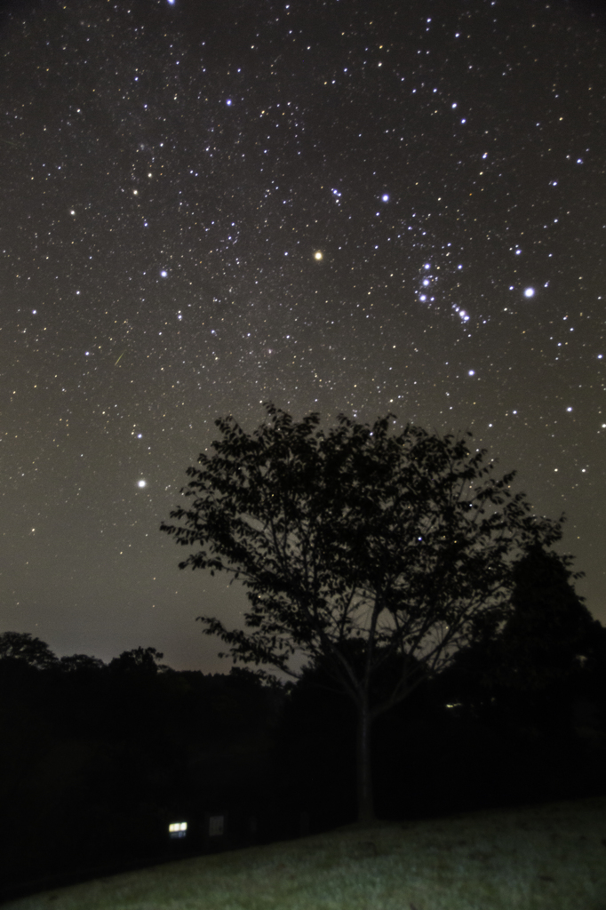 夜の公園