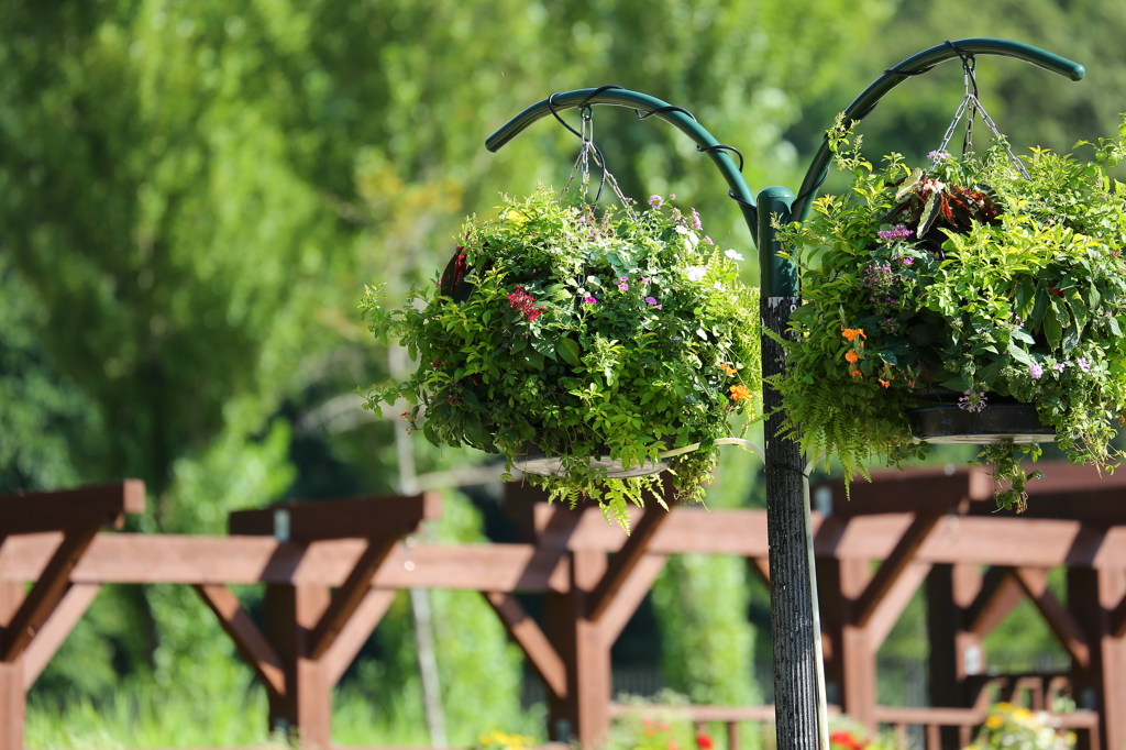 国営越後丘陵公園