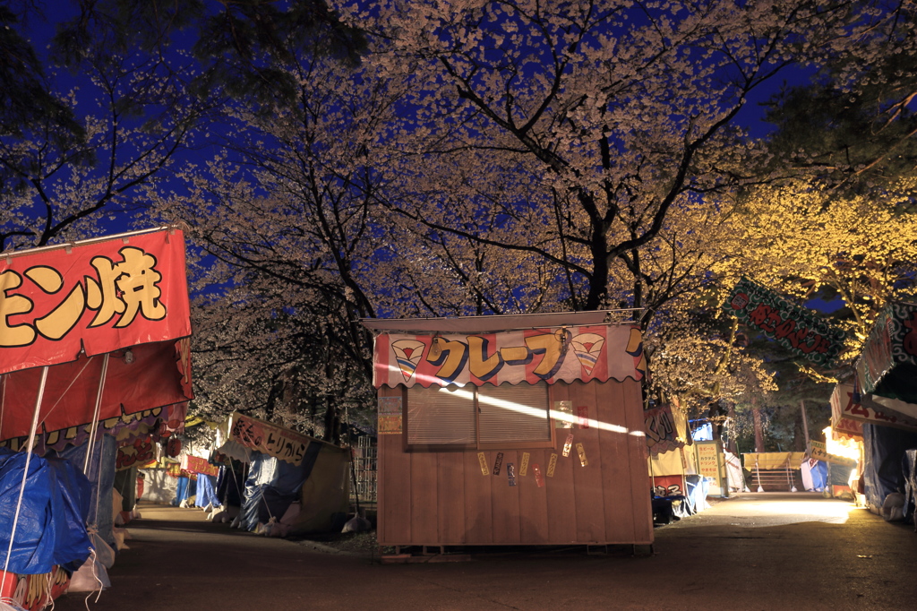 一人っきりの観桜会２