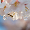 雫