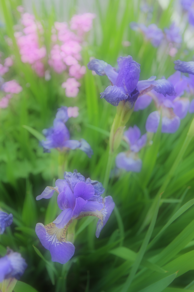 2014_05_30_9_20
