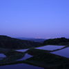 棚田