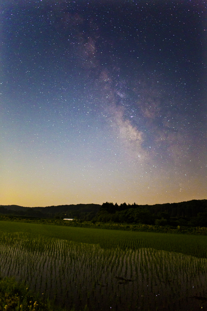 水田と天の川