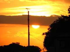 出てきた夕日