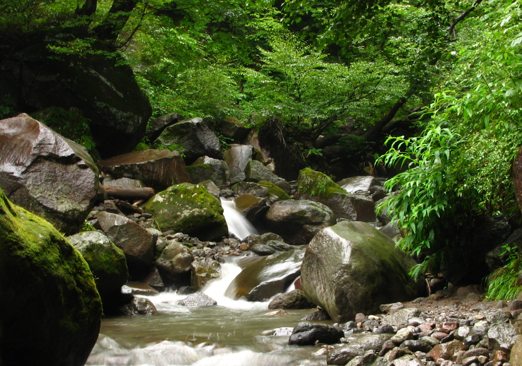 赤城滝沢の沢