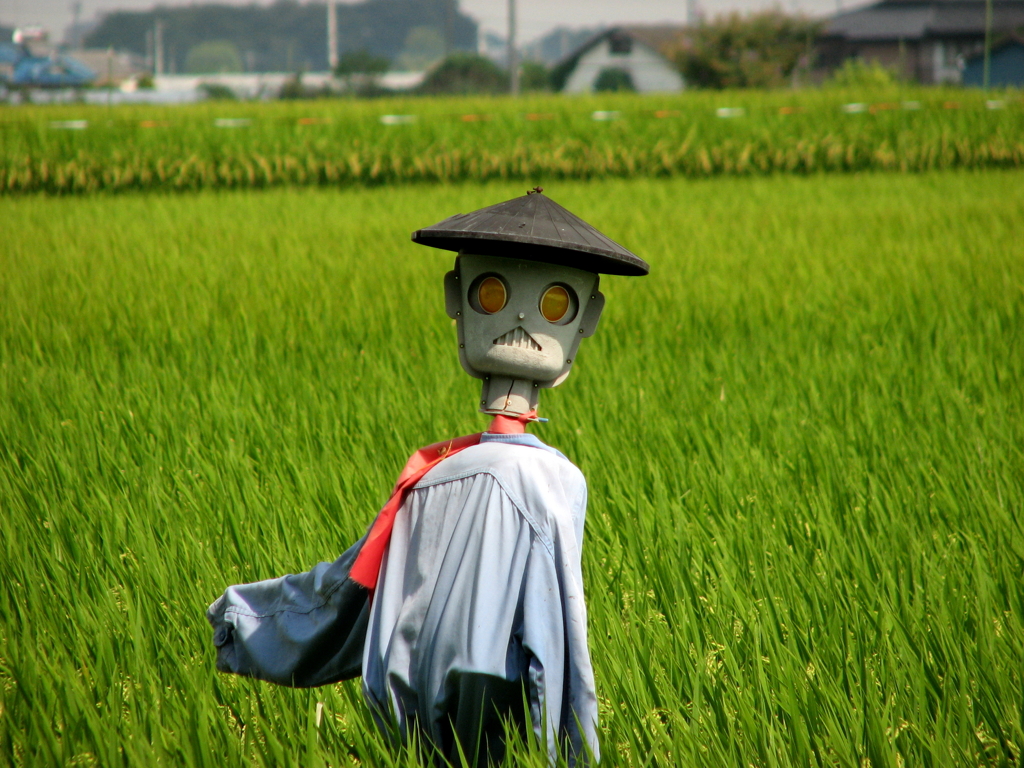 拝啓お母さん