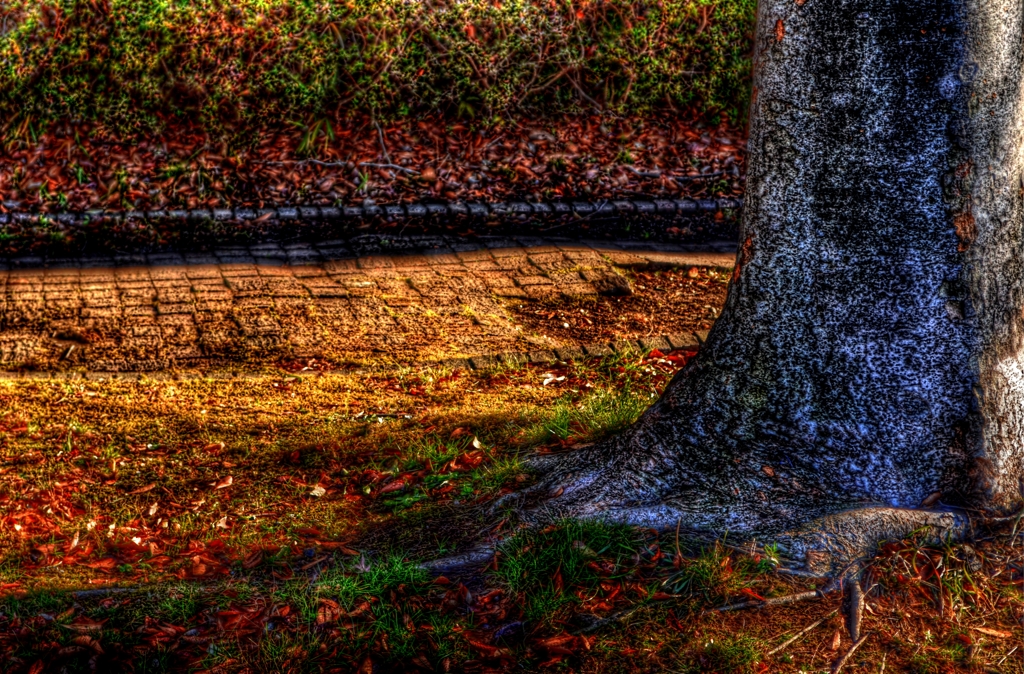 DSC_6346_ToneMapping
