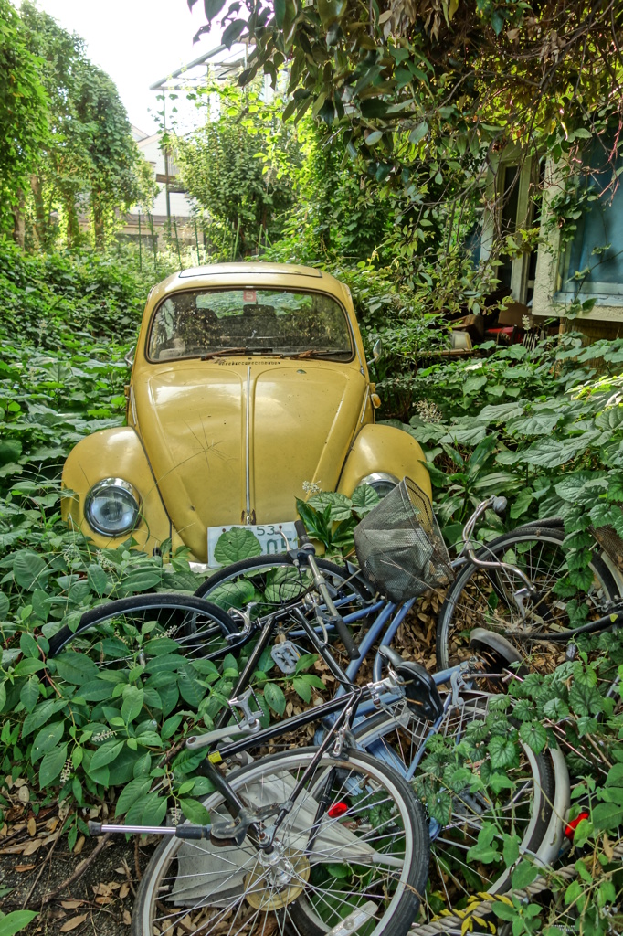 AbandonedBeetle1