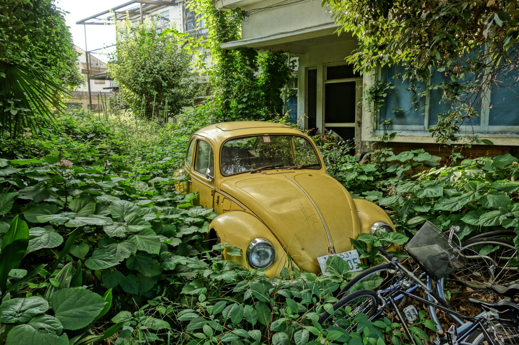 abandonedbeetle4