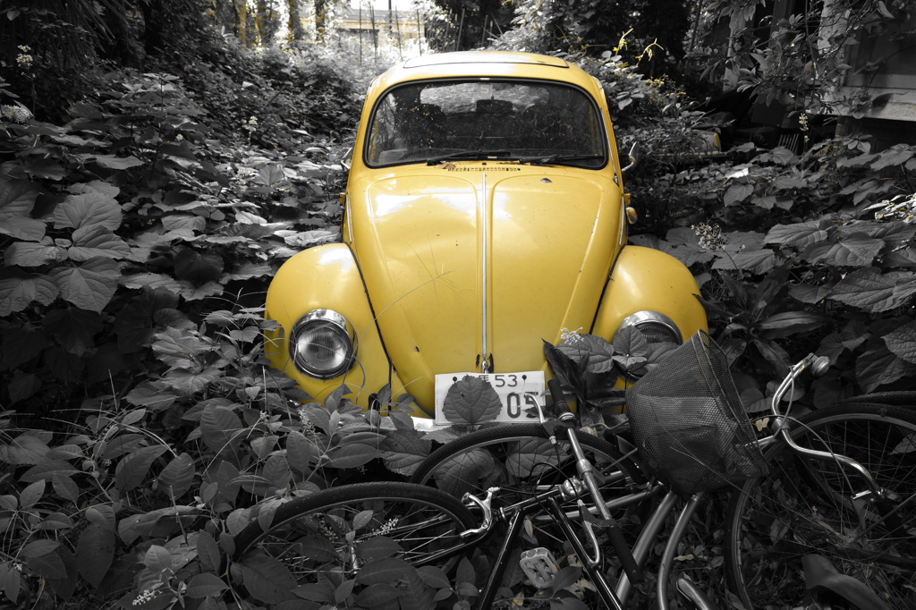 abandonedbeetle5